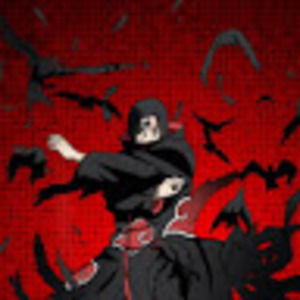 Meet your Posher, Carter